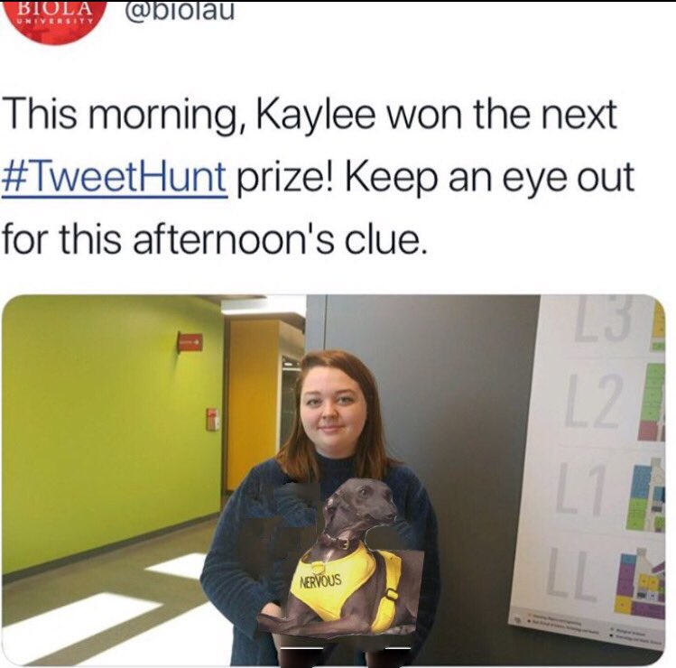 _scorpihoeee's tweet photo. OMG CONGRATS @kayleenicholec !!! Canβt believe u won!! #dontpetmeimnervous #Cancer #bringbackpoot https://t.co/4gnaREblTg