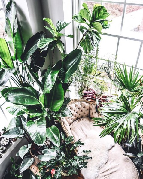 FreePeople's tweet photo. Planting ourselves right here... 🌿 https://t.co/ap0FHyXOv6 https://t.co/S22JEW99WV