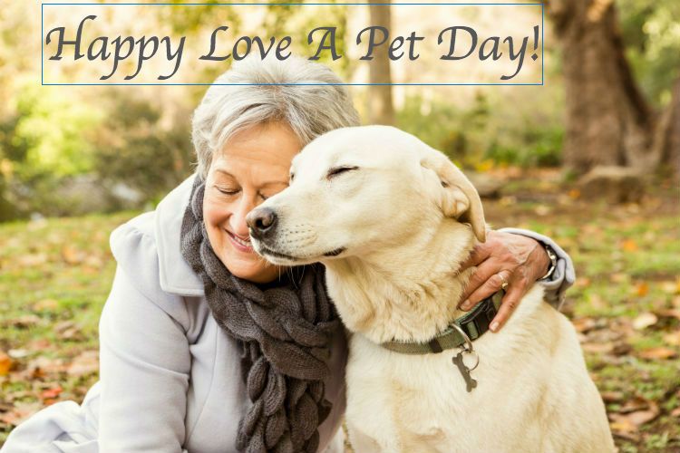 ReacherGrasperC's tweet photo. Pets provide the elderly with #companionship, increased #cardiovascularhealth, and emotional support. Happy #LoveaPetDay! https://t.co/VvvidVlnTq