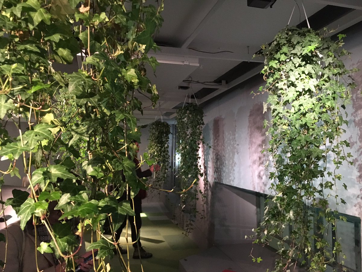 frenchiesparis's tweet photo. #exposition La Belle Vie numérique à la @Fondation_EDF, avec des plantes qui font de la musique, un piano qui exprime vos émotions, et pleins d'autres œuvres autour du numérique #LBVN #paris #expo https://t.co/hXlJnEg2OI