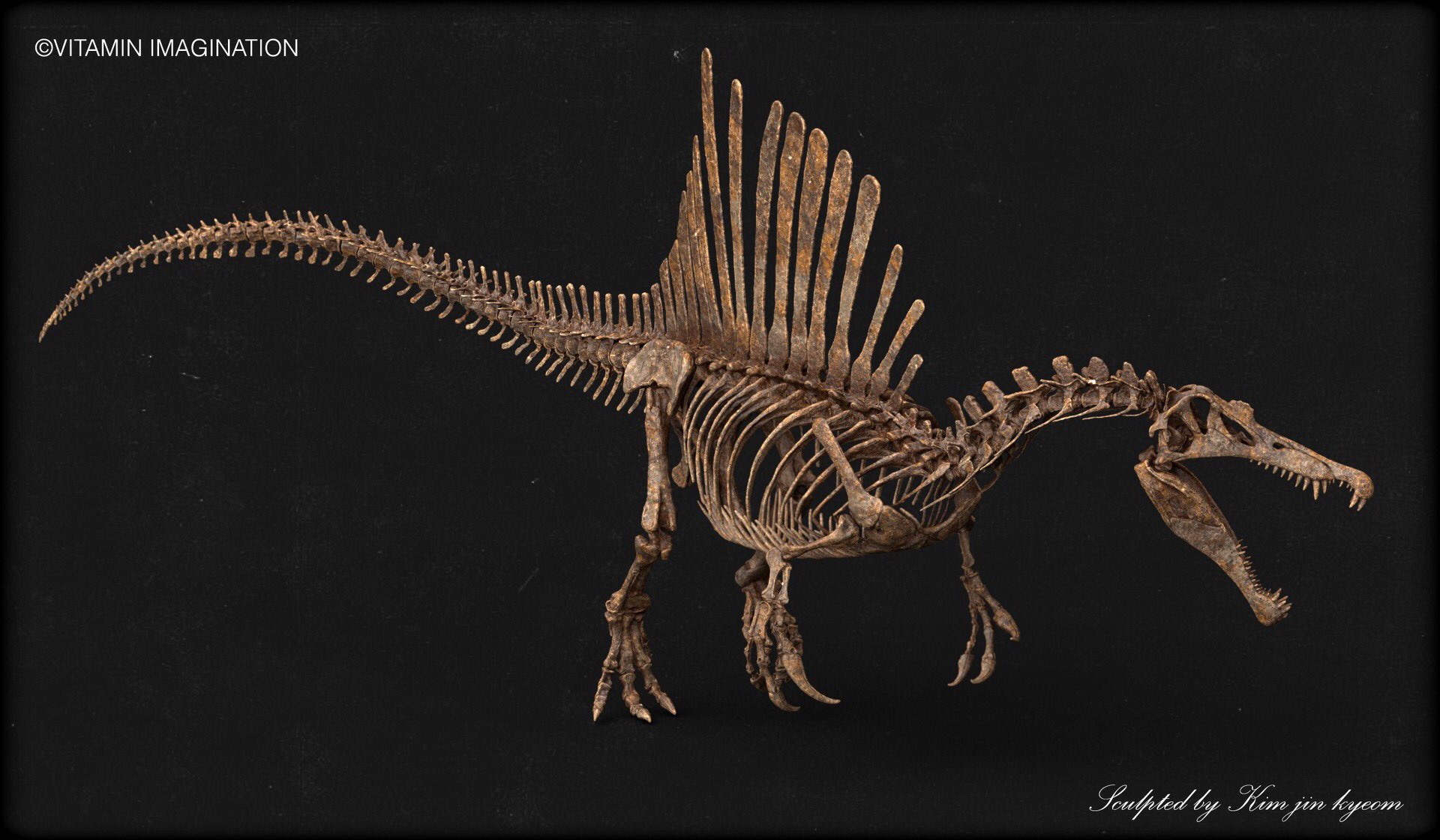 skeleton of a spinosaurus
