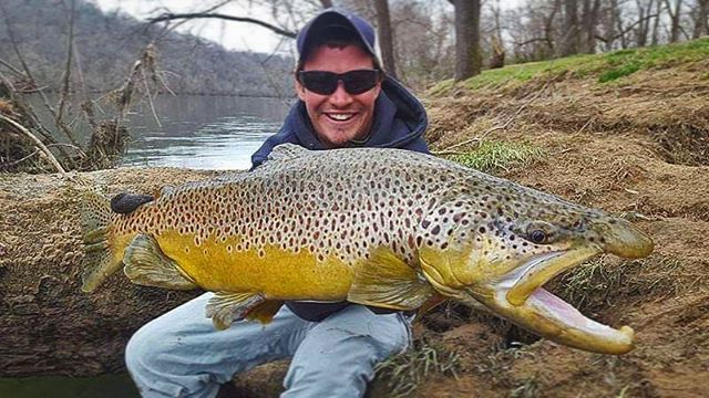 flyandstream's tweet photo. Maybe you haven’t heard, but the winter #streamer game on the #whiteriver is strictly #beastmode status this time each year. Tanner Ingle showing us how it’s done⠀
⠀
#flyfishing #flyfish #flyandstream #flyfishingjunkie #flyfishinglife #onthefly #tightlines #troutbum #browntrout https://t.co/I4oo4Jk9DL