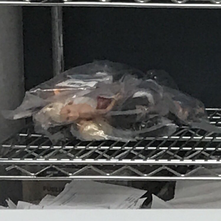498605M's tweet photo. You're worried about preservatives?? Just thought you should know what's REALLY going in your food. https://t.co/9Cugc9idev