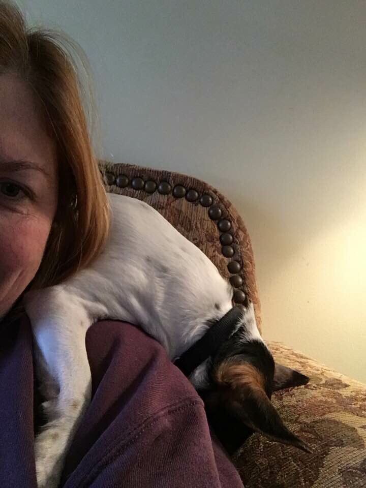 1CindySays's tweet photo. This furry boy. #LoveYourPetDay https://t.co/JhBXxYHAJ0