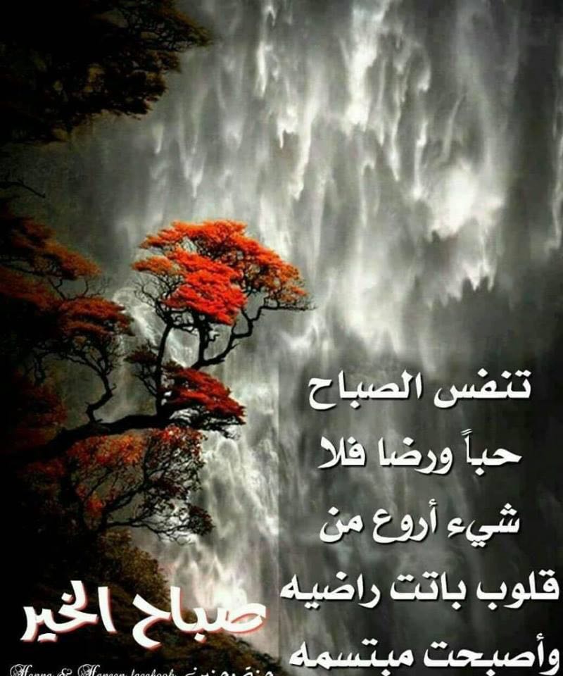 1980pp's tweet image. صباح الخير