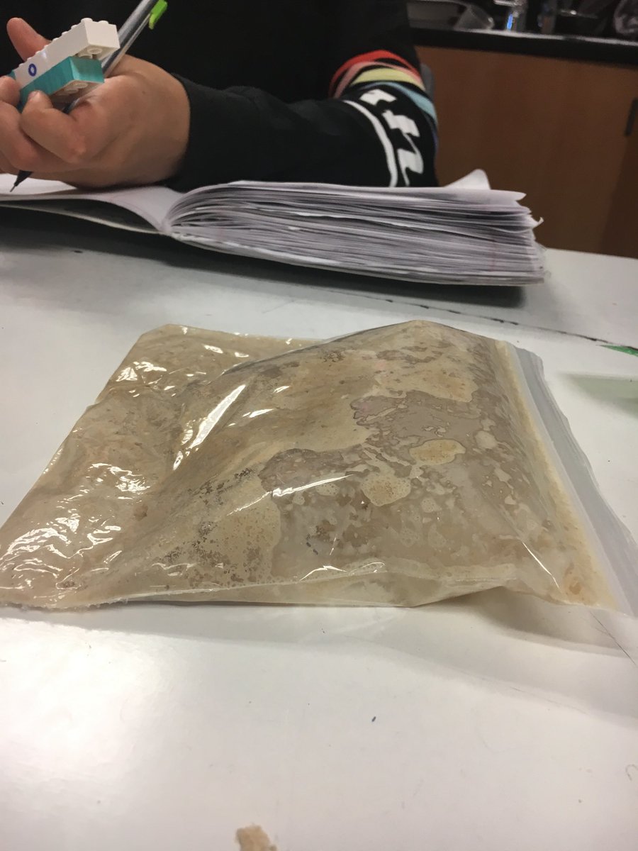Thanks Pinterest for the barf bag idea to demonstrate CO2 production by yeast!  Who knew Cheerios and yeast looked so gross 😂 #erhs #biology