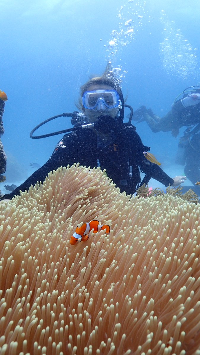 BLbackpackers's tweet photo. We weren't allowed to take our cameras during the #scubadive, because it was our first experience and the staff wanted us to concentrate on the equipment. Luckily, a photographer got some great shots for us. Thanks @cairnsdive #IFoundNemo #GreatBarrierReef #FindingNemo π ππ’ππ¦ https://t.co/OscNXdprkn