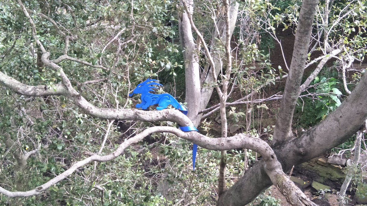downunderota's tweet image. Love this Blue Dragon at the end of the Goodwill bridge QUT side #Brisbane #bluedragon #GoodwillBridge #QUT