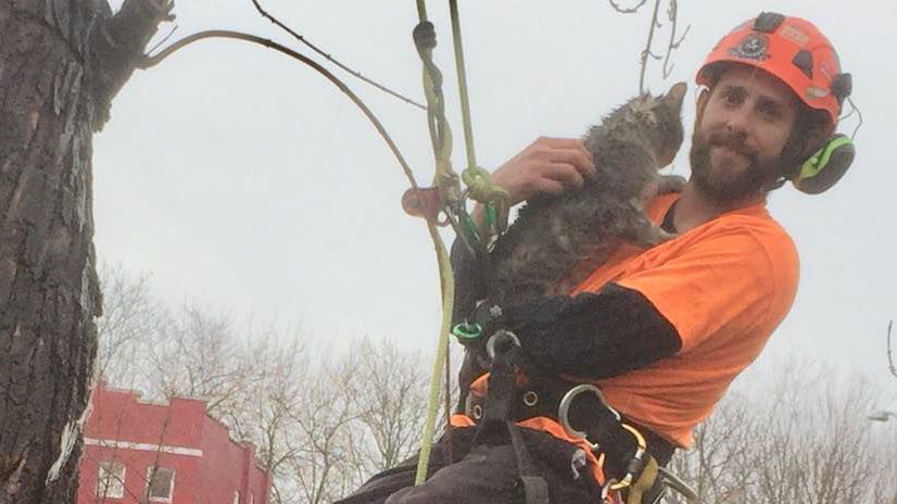 Weatherbird tweet media