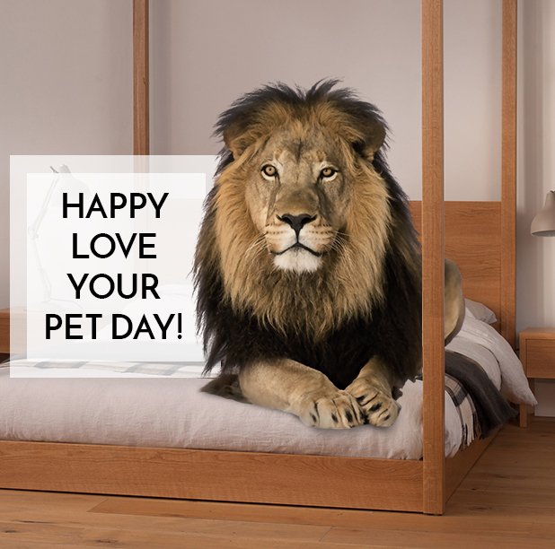 We're celebrating National Love Your Pet Day!
You get 25% off and The Fund For Animals gets $7.50!

solorganix.com

#nationalloveyourpetday #organiccotton