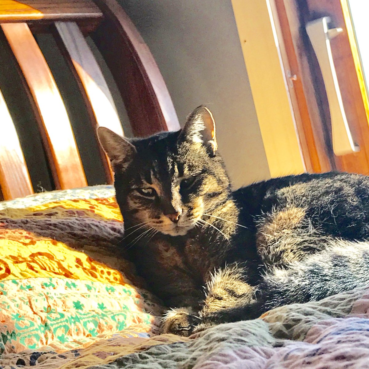 We love our pets # LoveYourPetDay