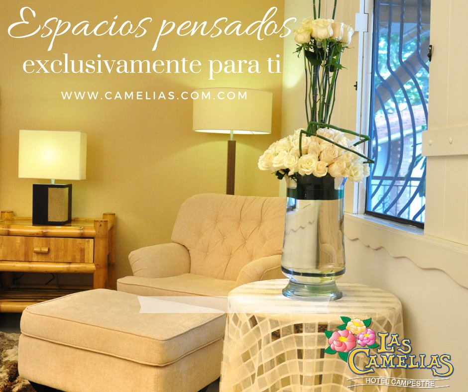 Espacios pensados exclusivamente para ti, donde podrás tener las mejores lecturas en una comodidad inigualable. 

#viajedenegocios  #habitaciónejecutiva  #hotels #camas #Cameliasteespera #Hotel #sleeping #Colombia  #reserva

camelias.com.co