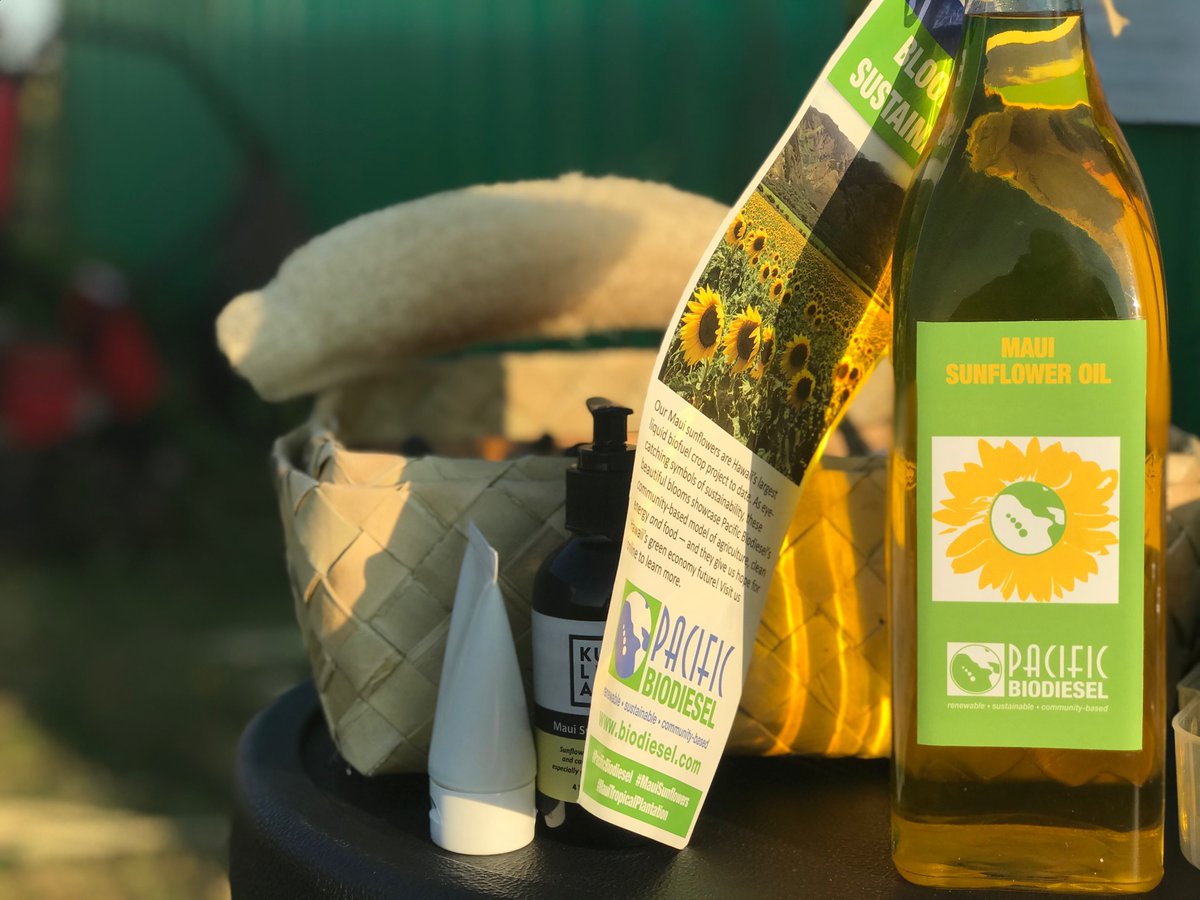 Lot's of exciting results coming from those sunflowers!

#mauitropicalplantation #pacificbiodiesel #biofuel #sunflowers #mauisunflowers #mauigrown #grownonmaui #knowthyfarmer #maui #mauifarms