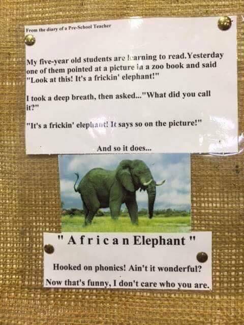 LauriRHarris's tweet photo. #phonics  😂😂😂 https://t.co/i8ZzHQsONl
