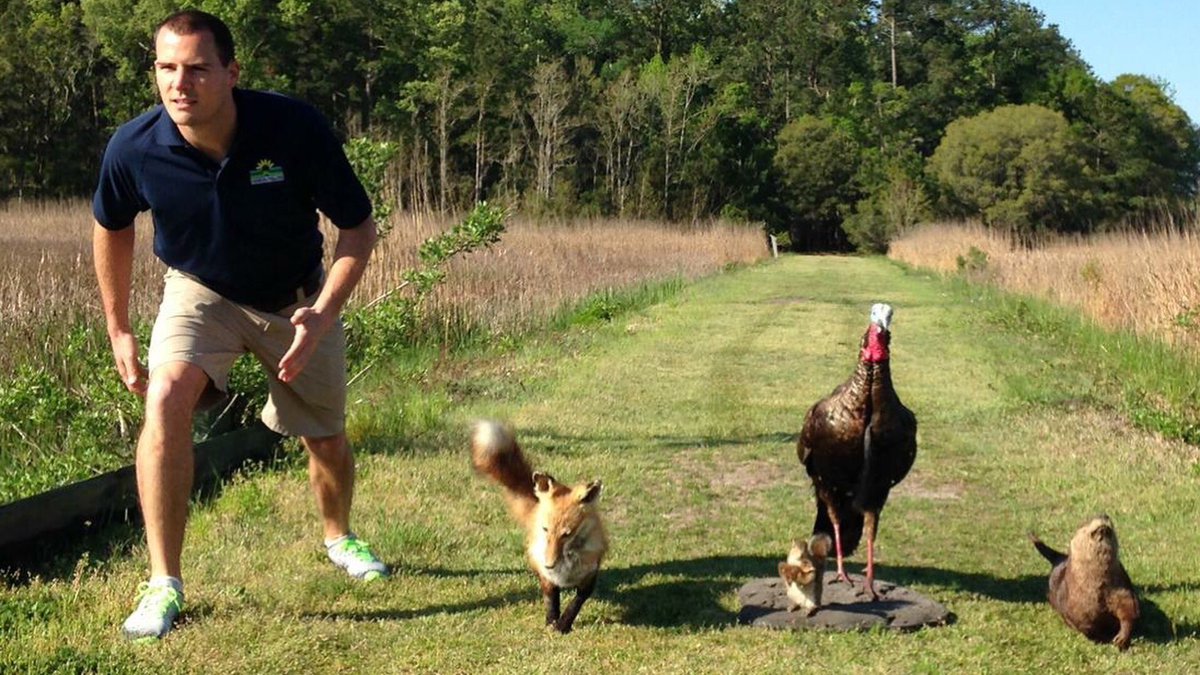 Charleston County Parks tweet media