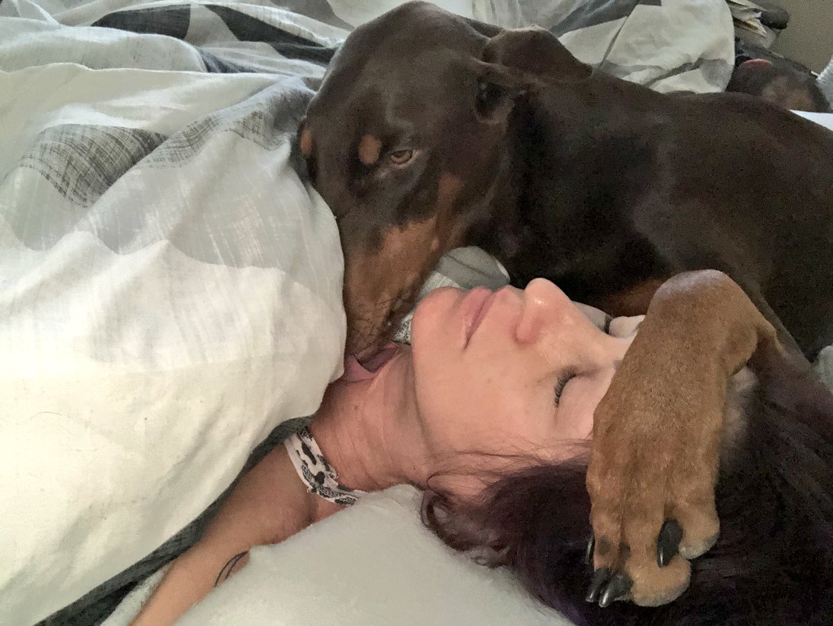 ChristServant17's tweet photo. Best alarmclock EVER! 😍🤣🤣🤷🏻♀️ #izzybella #doberman #dogsarelove #dobermomlife https://t.co/jqvRVwzqBN