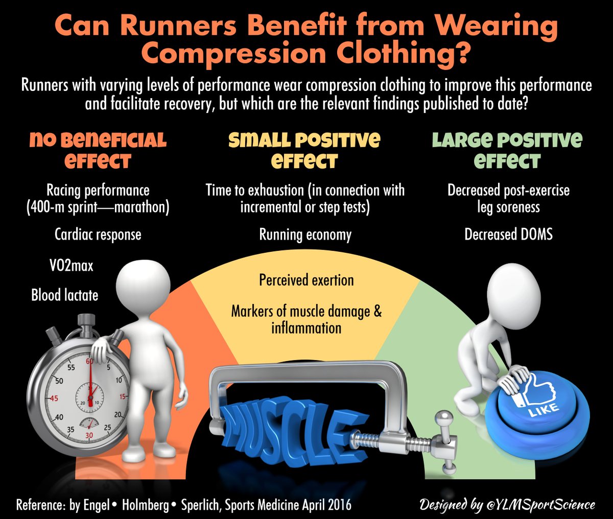 YLMSportScience tweet media