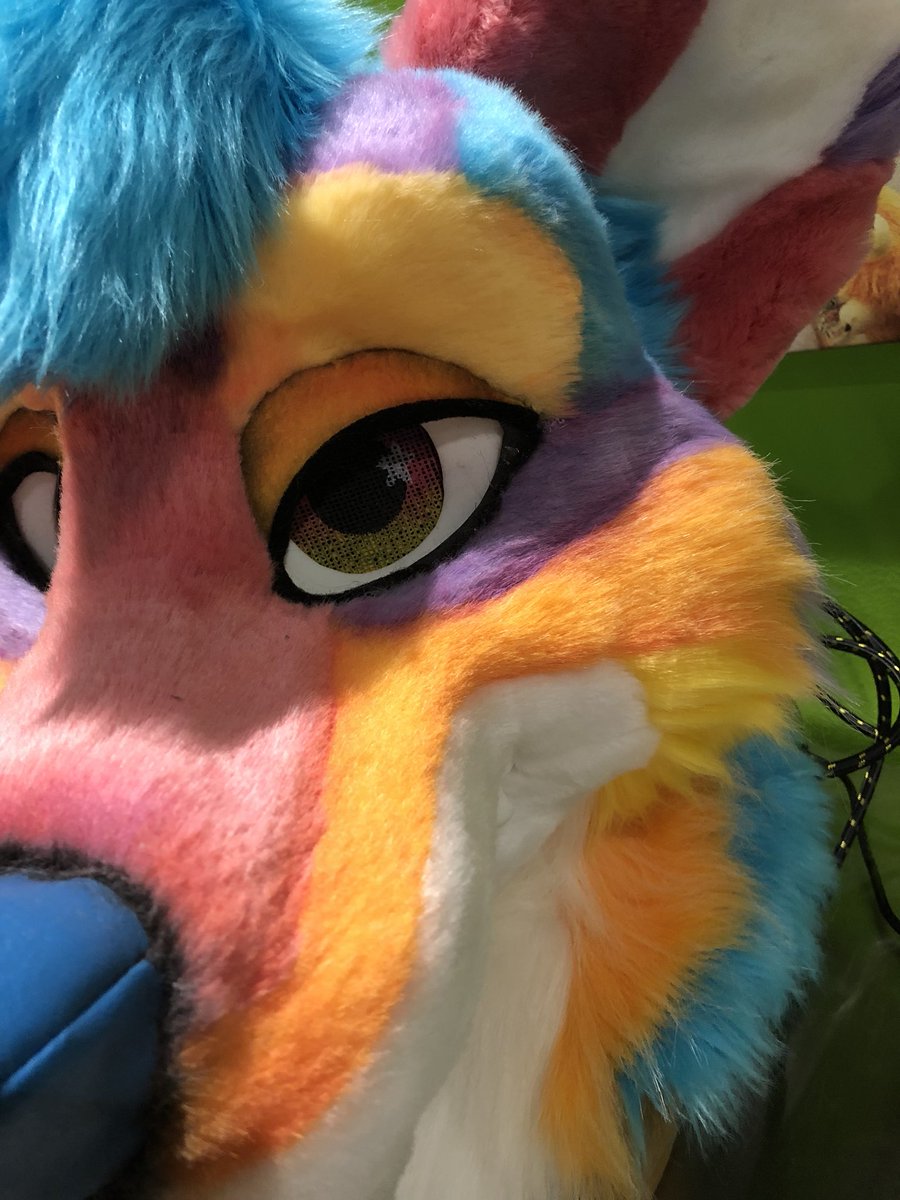 MadeFurYou's tweet photo. Ocaso coyote is absolutely stunning! Inspired by an Arizona sunset. https://t.co/VYNge1GEdQ