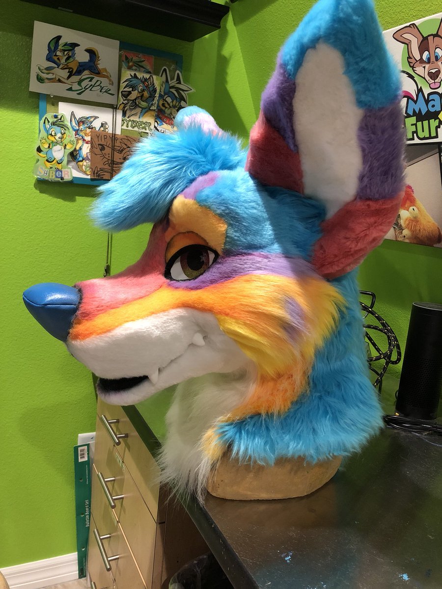 MadeFurYou's tweet photo. Ocaso coyote is absolutely stunning! Inspired by an Arizona sunset. https://t.co/VYNge1GEdQ