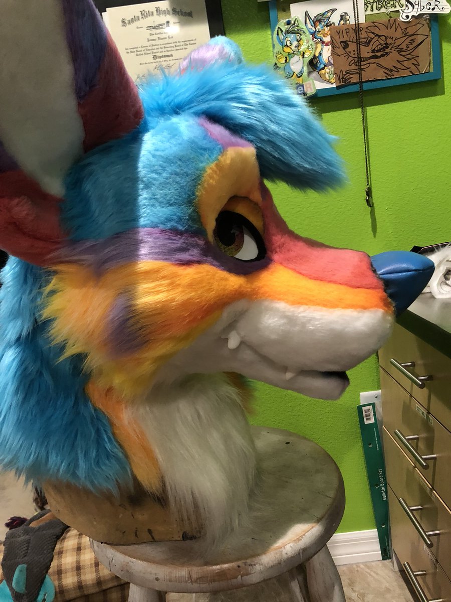 MadeFurYou's tweet photo. Ocaso coyote is absolutely stunning! Inspired by an Arizona sunset. https://t.co/VYNge1GEdQ