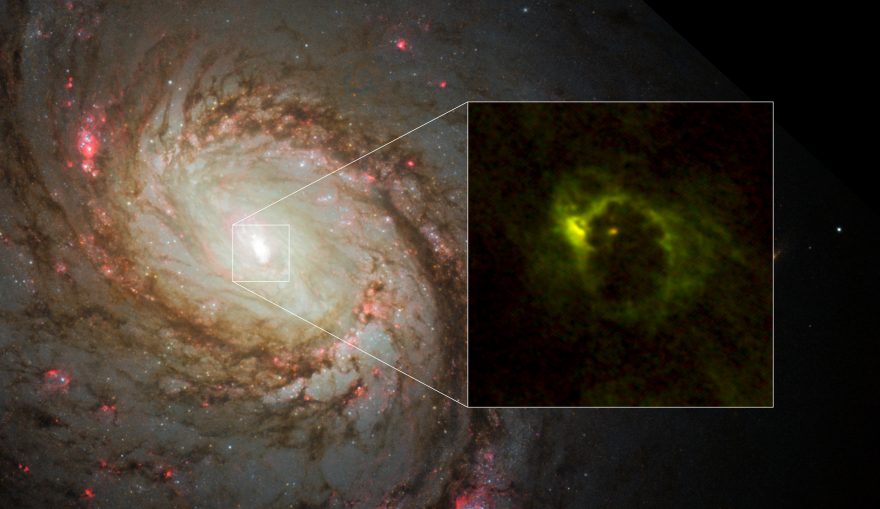 #ALMA has detected a dusty torus—like a doughnut—surrounding an active supermassive black hole, the first time one has been seen so clearly: almaobservatory.org/en/press-relea… #news #astronomy #blackholes