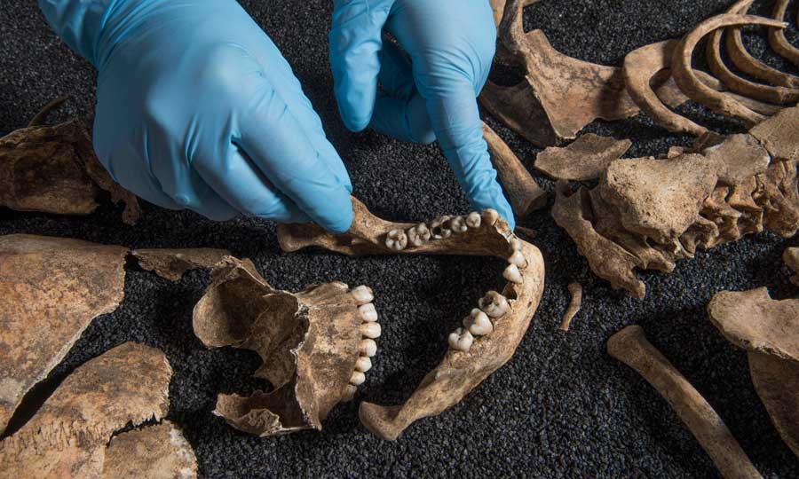 CarolineLawrenc's tweet image. Here's a description of what kids from @wlfsprimary will be doing today at the @MuseumofLondon... in case other schools want to book a place! 😊museumoflondon.org.uk/schools/sessio…
#RomanBritain #RomanLondon #KS2 #Romans #bones #HandsOn