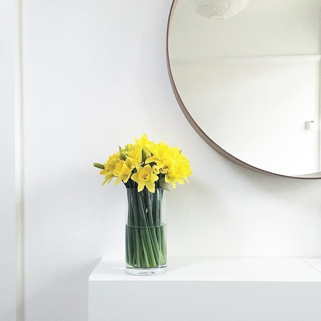 howdytoowordy's tweet photo. Morning world ππΌ The daffs are blooming...spring is springing!! π
.
.
.
#toowordy #toowordytype #handlettering #design #lettering #smallbusiness #home #homedecor #interiors #spring #daffodils #springisspringing #ismellspring #humpday #wednesday https://t.co/CuhOFRwSkA https://t.co/8FcngeJ8wU