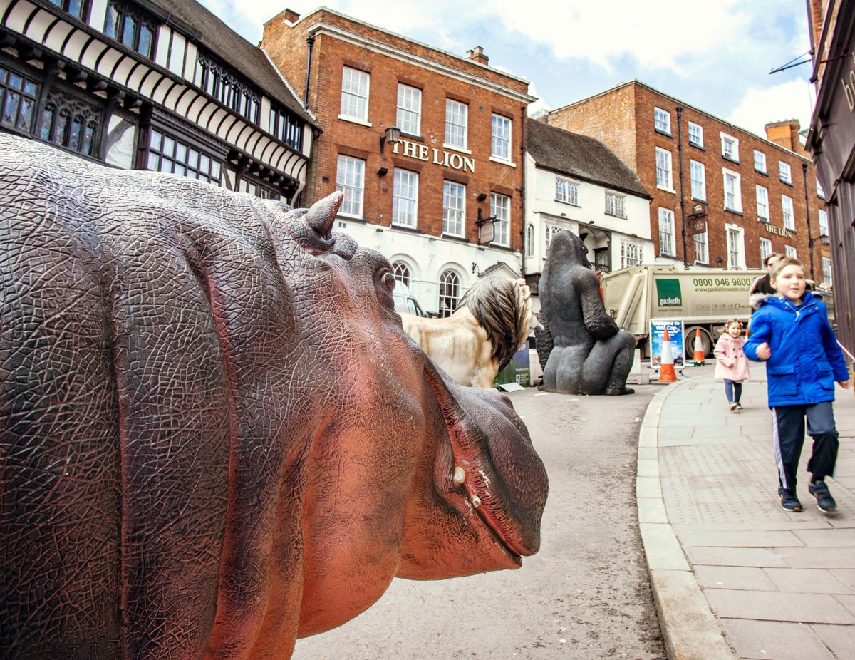 LordBlackadder's tweet image. Henry spots lunch! #wildcop #shrewsbury #darwin #wylecop