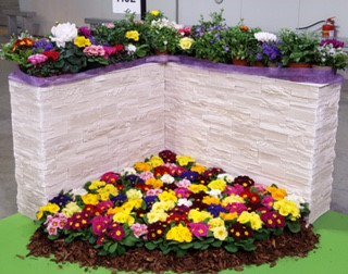 Schoneveld_NL's tweet photo. We are present @ @MyplantGarden #MyPlantgarden. Visit us at Stand H02 Pav20. You can ask everything about Cyclamen, Primula, Campanula and Ranunculus #Milan #horticulture #tuinbouw #gartenbau #orticoltura #floristica #agricoltura #floreale #impianto https://t.co/58WHXiRx6w