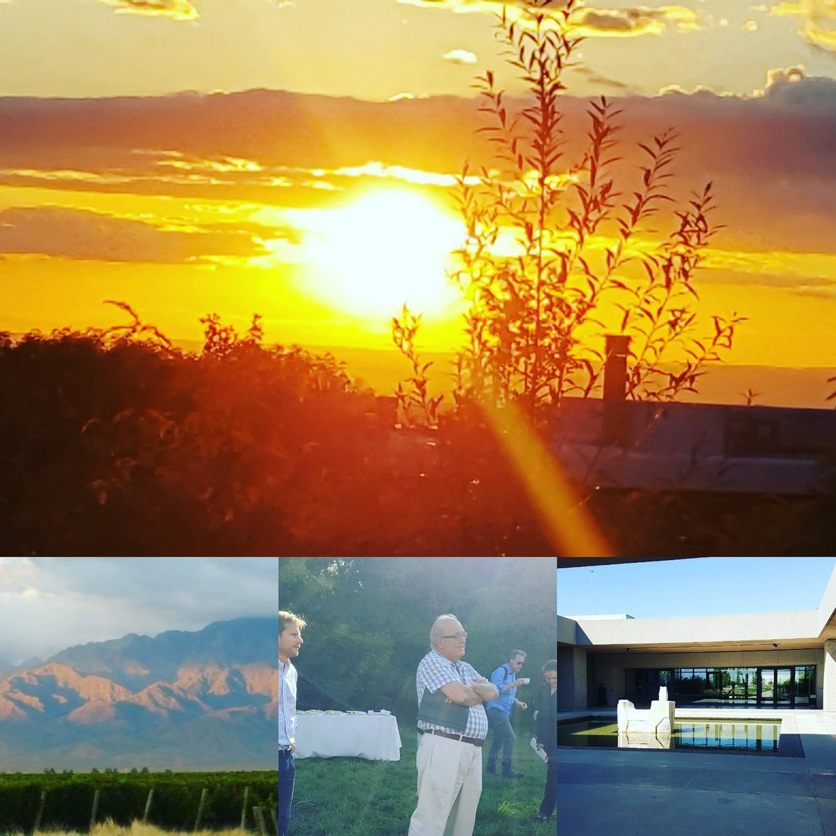 MicheleCherutti's tweet photo. Sunrise in Uco Valley &amp; breakfast in a 1500m vineyard @BSalentein https://t.co/McVMUytNC0
