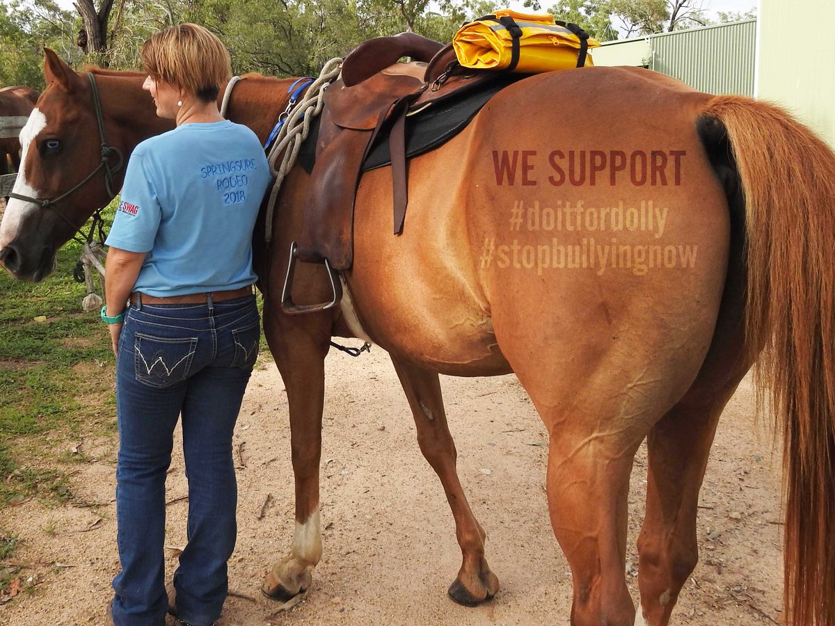 RescueSwag's tweet photo. @RescueSwag had the privilege of supporting the Springsure 'Do It for Dolly' Charity Rodeo. The event raised over $170K towards the “Dolly’s Dream” Foundation. Promoting awareness of bullying, anxiety, depression &amp; youth suicide #doitfordolly #stopbullyingnow https://t.co/Idt4bVpaCe