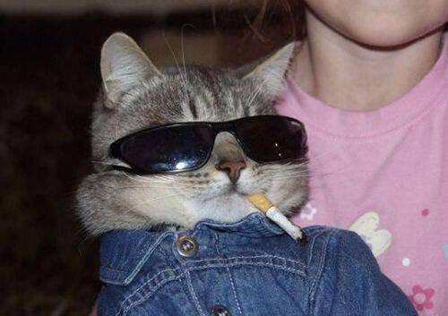 garyfromteenmom's tweet photo. white people after correctly pronouncing bon iver once https://t.co/w5Vz0kq6Ts