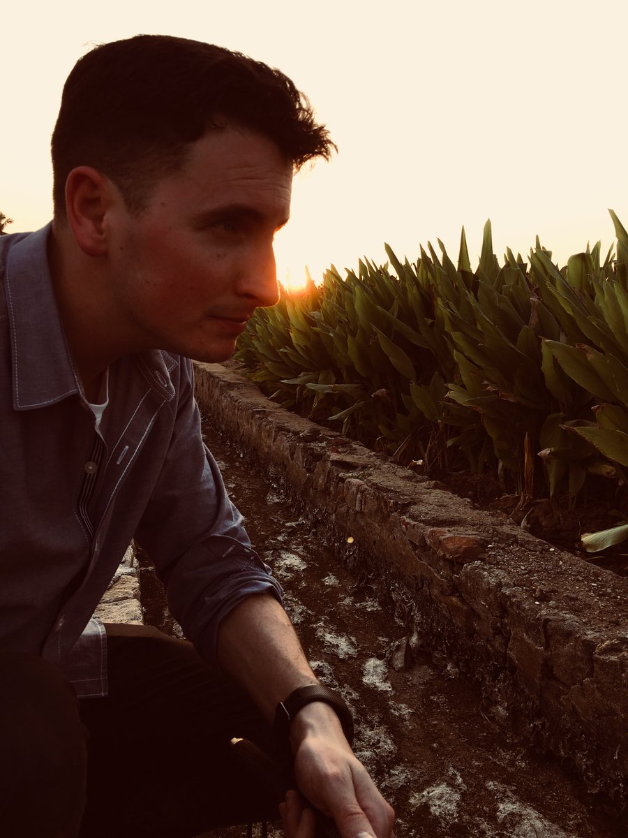 AppliedFoods's tweet image. As the sun sets on another day in Tamil Nadu, we reflect on how grateful we are to be able to bring these amazing organic ingredients to the world.