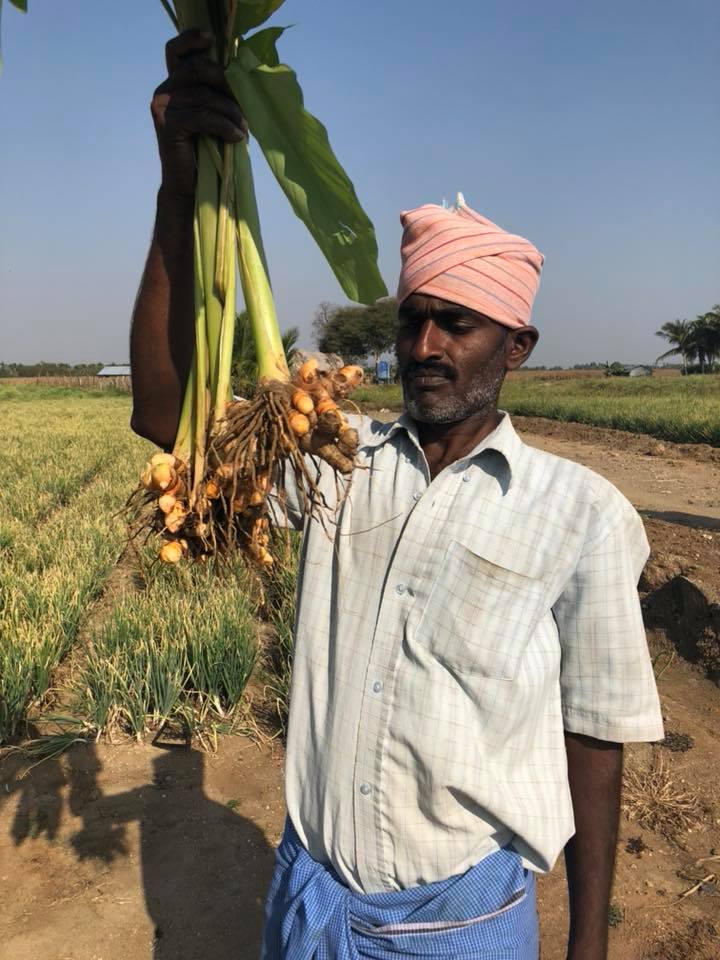 AppliedFoods's tweet image. As the sun sets on another day in Tamil Nadu, we reflect on how grateful we are to be able to bring these amazing organic ingredients to the world.