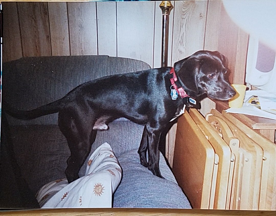 samehalljane's tweet image. Best glow up ever 💕 #chunkyboi