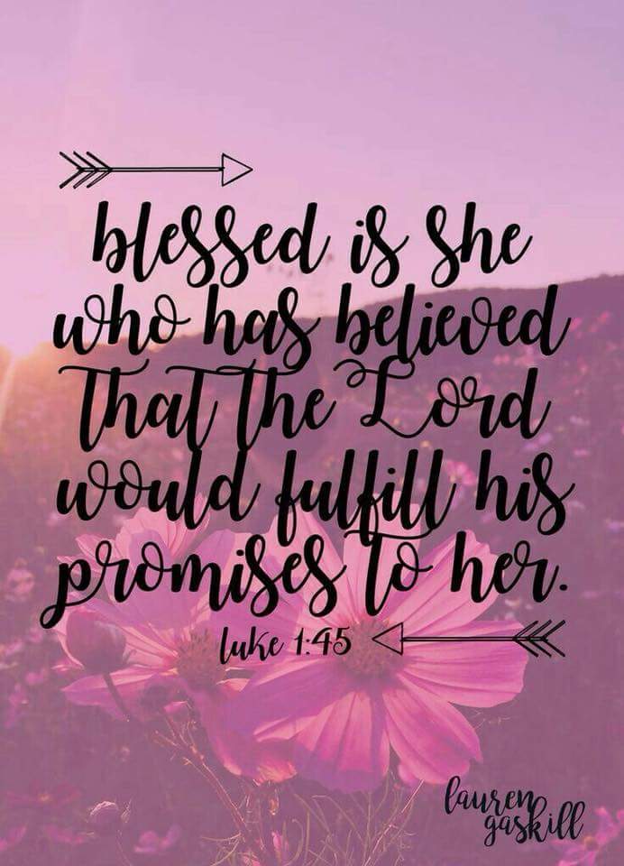 ChloSwanepoel's tweet photo. 🌼 https://t.co/LZHTijIjtX