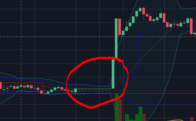 cryptocointoken's tweet photo. If you ever see this, you know whales will pump the shit out of it. Next time don't miss out on free cash :) #pump #crypto https://t.co/nGCt0XpY5A