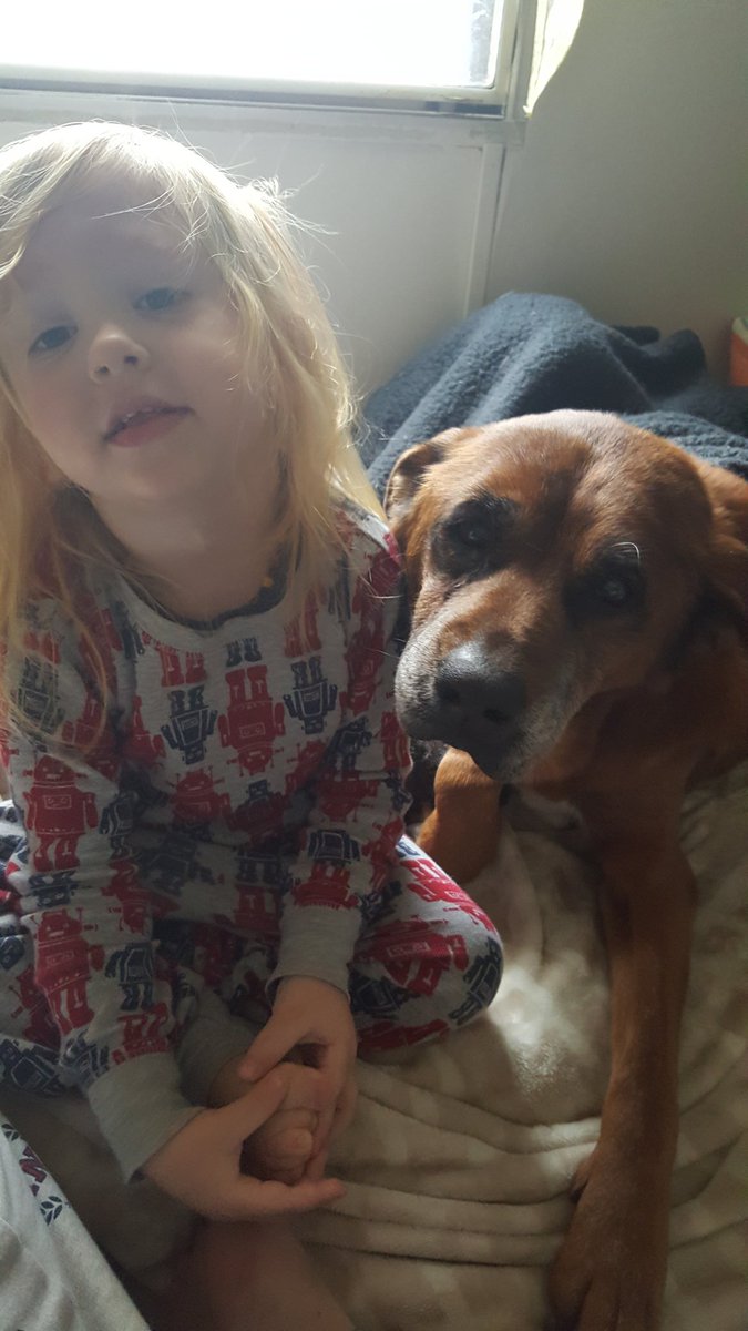 CandyM_34's tweet photo. @saraturner19 My sweet angel pup, Kizer! Lost him last week after almost 15 yrs of love!! My heart is completely broken. I thought of you &amp; benji, you are so sweet for what you do! My ❤ will never heal. #LoveYourPetDay https://t.co/0rPiClS1cq