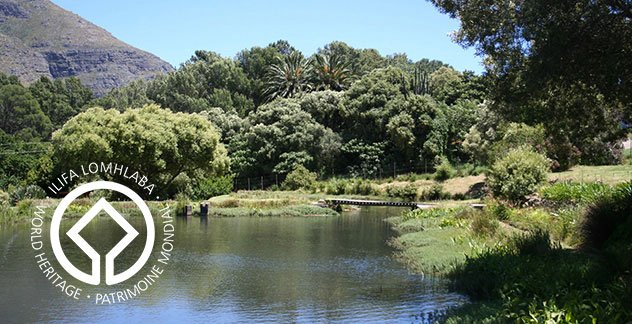 This week’s pick for the Big 5 Picnic Spots to visit is the Jonkershoek Nature Reserve. The reserve is an all-round offering that is great for everyone! #Nature #Picnic #Foodie #Outdoors #adventure