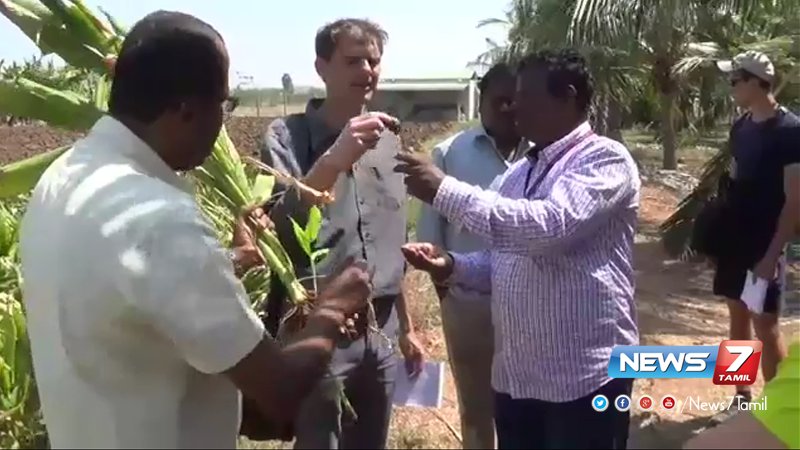 news7tamil's tweet photo. பிரான்ஸ் நாட்டில் முயற்சி செய்யப்படவுள்ள தமிழக இயற்கை விவசாயம்!
விவரம்:https://t.co/nEClJYrc6a
https://t.co/5wMBD3XmPb |#TamilNaduFarmingMethod | #FranceStudents |#JawaharlalNehruInstituteOfAgriculture https://t.co/q3BJBOv4ha