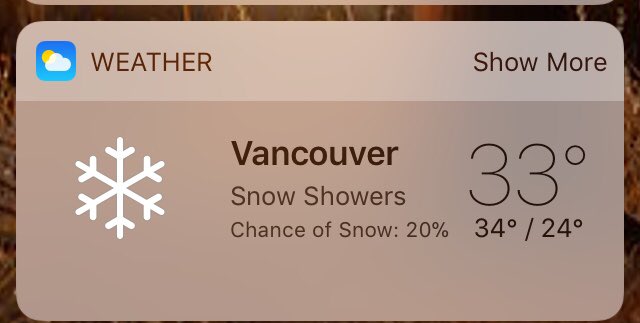 I would just like to point out that my weather app said 20% chance of snow all day... but it’s snowed non-stop all day... #pnwweather