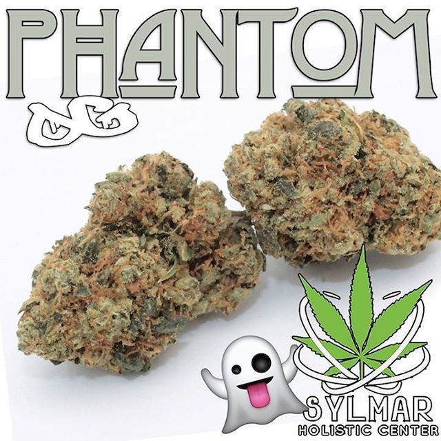 SylmarHolistic's tweet photo. Don't blink or you might miss this Phantom OG 👻 It's got intense after-effects, exhilarating aromas and  beautiful trichomes. 🔥 Sylmar Holistic Center
.
.
.
.
.

#SylmarHolisticCenter #Dispensary #Cannabis #HigherElevation #PhantomOG  #StonerFamily #StonersOfIG #Weed420Feed … https://t.co/pT18nfcsNL