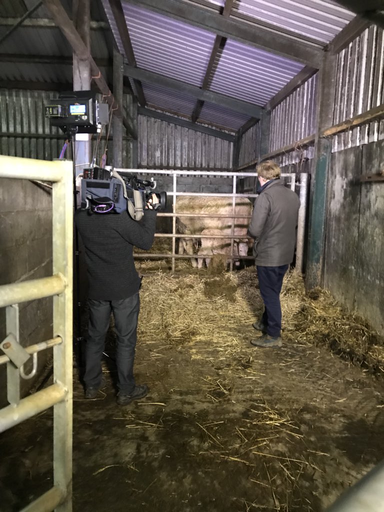 <a href="/BBCBreakfast/">BBC Breakfast</a> and <a href="/JohnMag20/">John Maguire</a> coming live from the Hill Farm in Llanfairfechan.