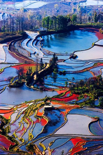 Yuanyang Terrace Field, China - absolutely amazing  🙂🙂🙂🙂🙂