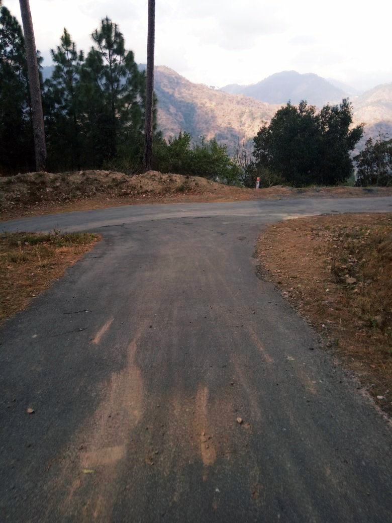 kartavyakarma's tweet photo. double mindedness; the mid way between dreams and realities!!!
#KartavyaKarma #DutywithHonesty #JeolikoteNgo #Jeolikote #Mountainlove #Nainital #Uttarakhand #PeaceinHills #NgoinNainital #ज्योलिकोट #कर्तव्यकर्मा #नैनीताल #उत्तराखंड https://t.co/s5vCJBe78U