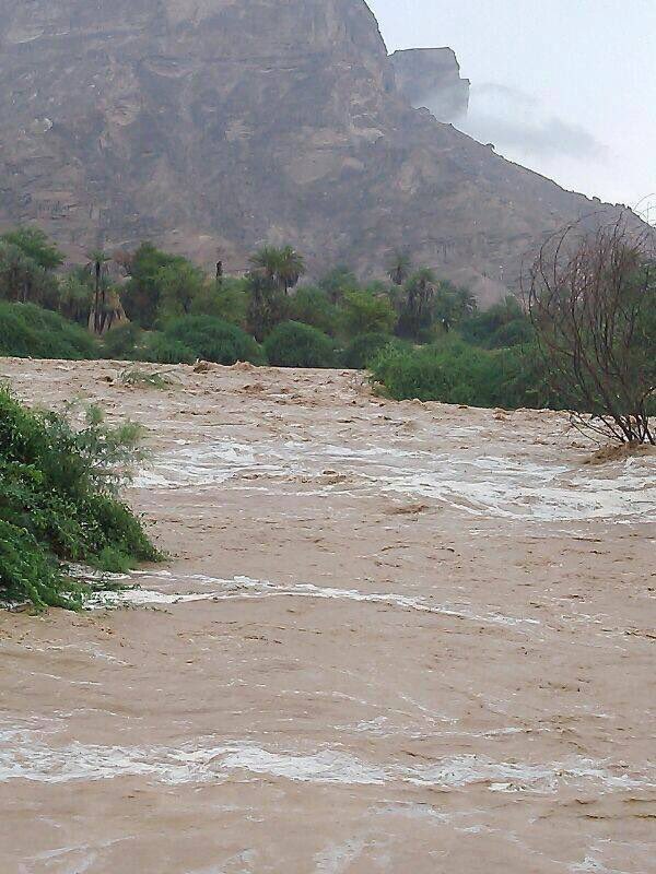 ddffgfgh's tweet photo. #شبوه_في_سطور https://t.co/g6Su0P14ch