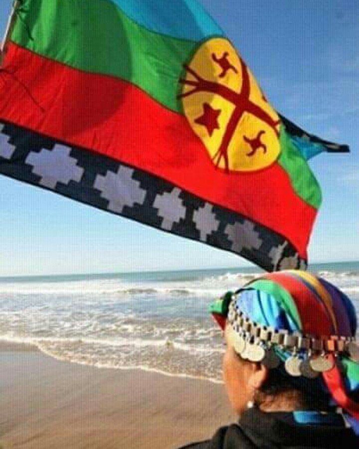 pedrofmcortes's tweet photo. Es Mapuche la tierra que pisas!
MARICHIWEU
@illapu https://t.co/kviqLIXxBl