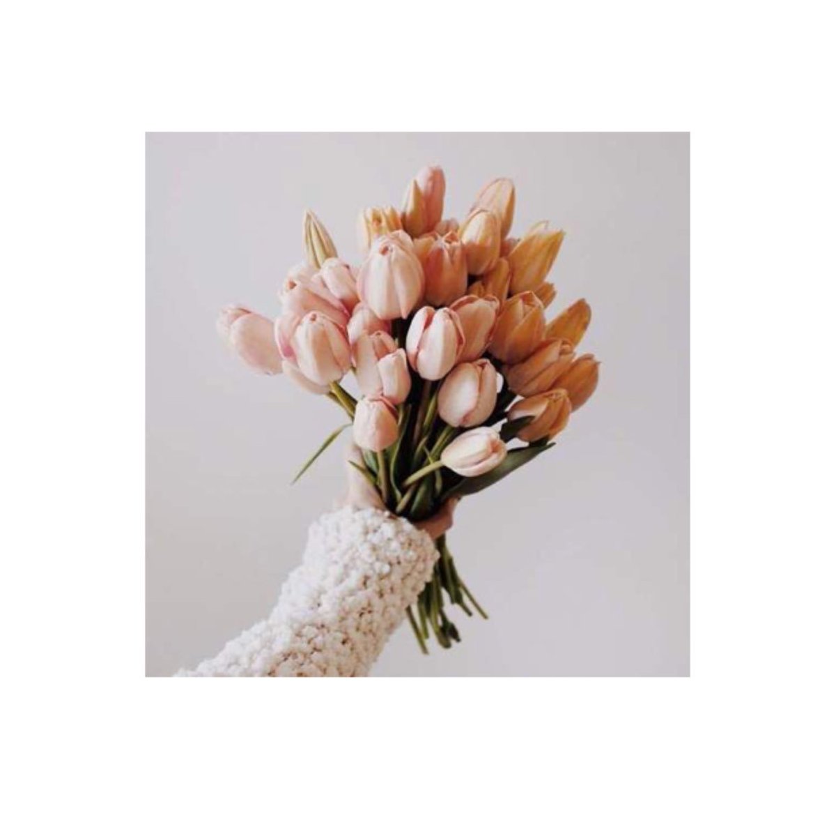 Mariuccia_Moda's tweet photo. #MariucciaMilano is true love 🌷 

#goodmorning #news #ready #fashion #morning #flowers #beliveinyourself #ininlove #winter #suninside https://t.co/ubqG1gQSBy