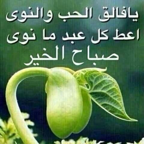 Hageb2's tweet photo. https://t.co/PsHtqj4nDI