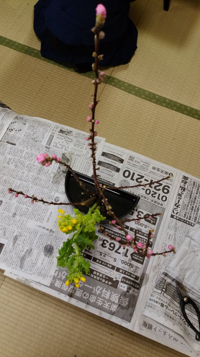 A little bit of #ikebana after a long day of working hard! #kado #flowerarrangment